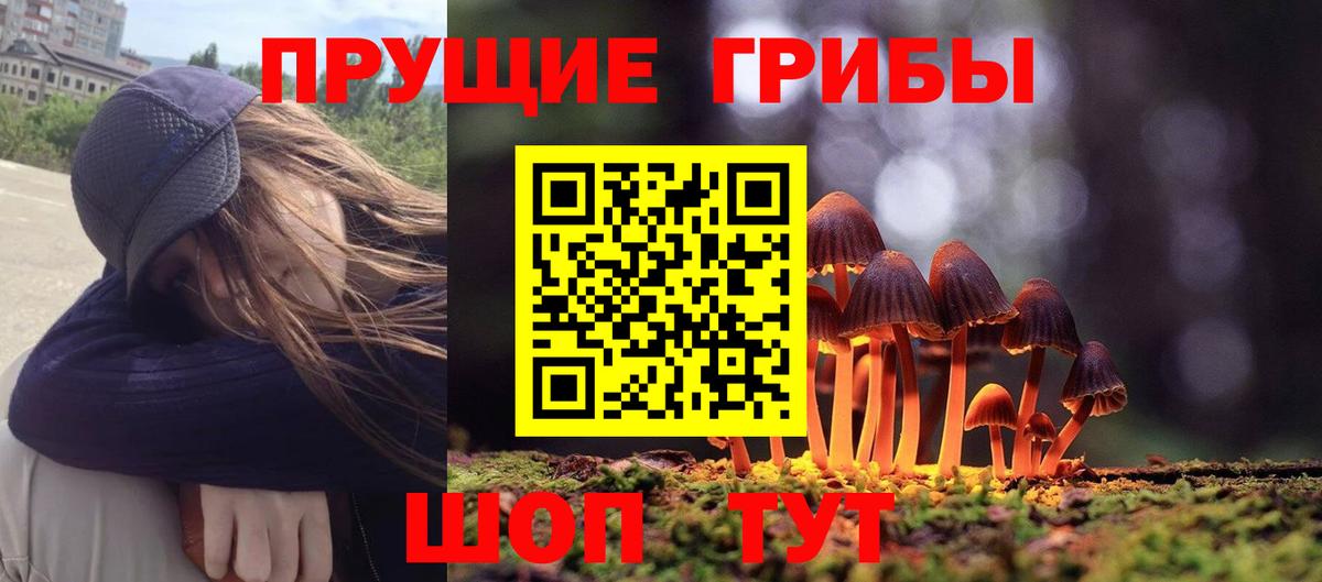 Псилоцибиновые грибы GOLDEN TEACHER Малоярославец