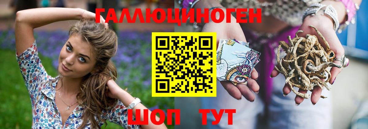 Малоярославец  Псилоцибиновые грибы Cubensis  Вход с VPN 