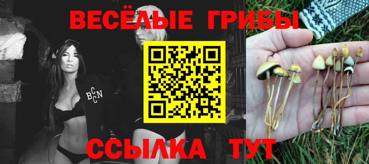 Галлюциногенные грибы мухоморы Малоярославец